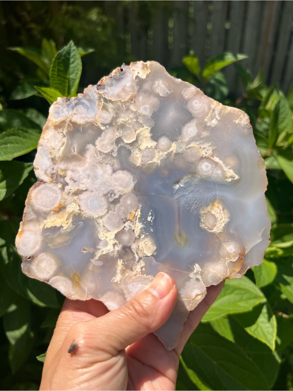Pink (17) flower agate slab with stand | crystal